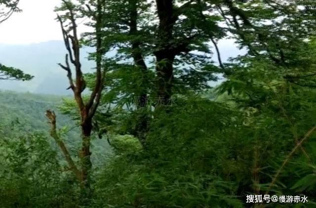 女管家逃脱记