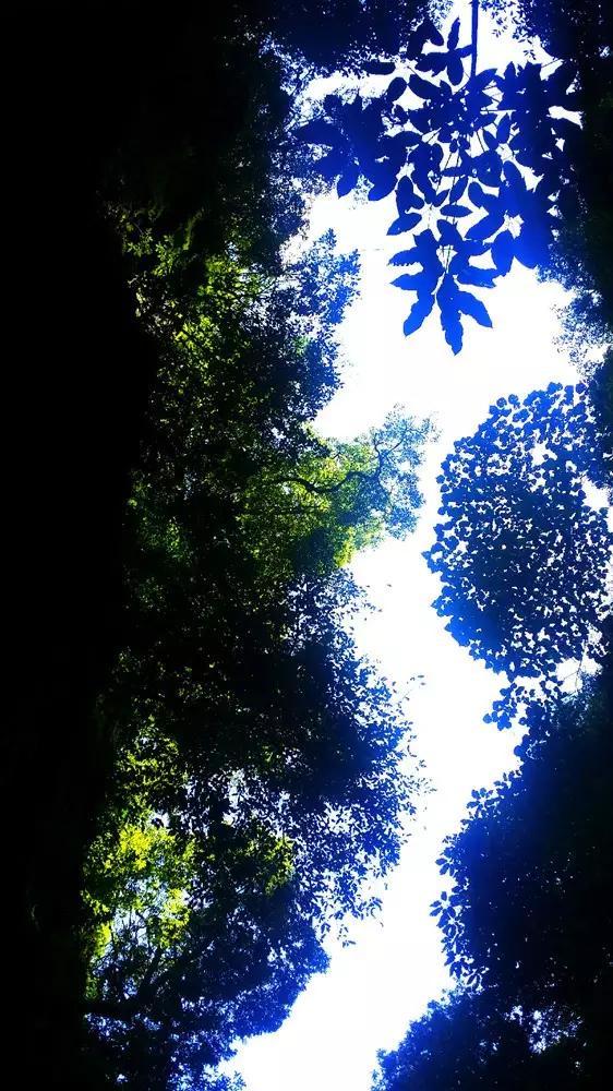 救援秀气的男孩