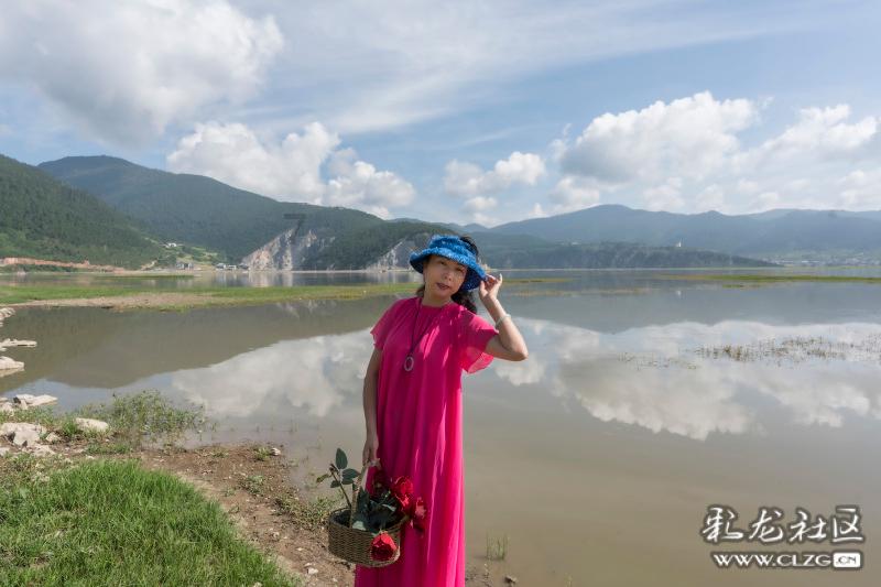 救援淘气的小狗